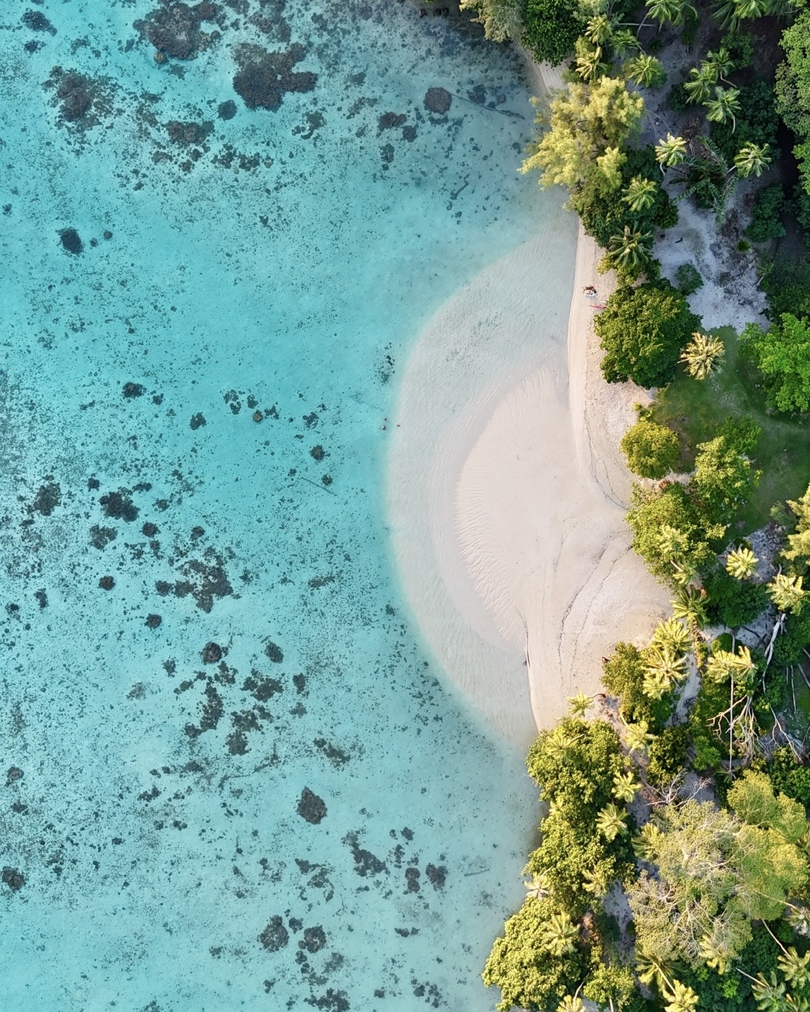 Polynésie, le grand tour des îles